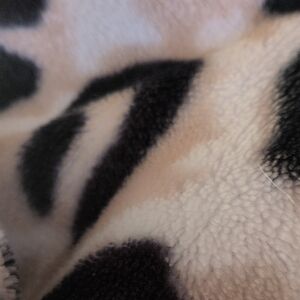 Leopard Print Fleece Blanket